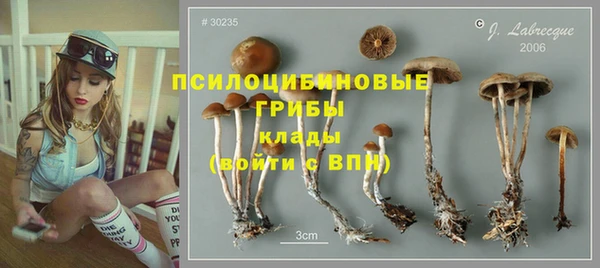мяу мяу мука Куровское