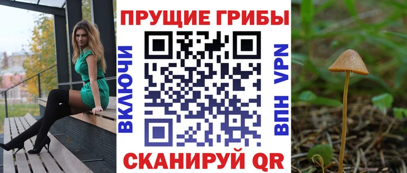 Галлюциногенные грибы MAGIC MUSHROOMS  Малая Вишера 
